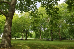 Green Park