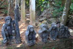 Three Monkeys