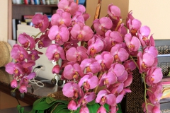 Orchideen in der Lobby