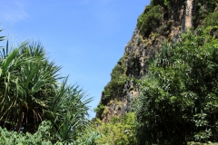 Maya Bay