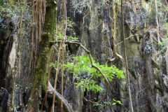 Lagune auf Panak Island